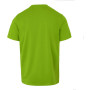 Camiseta de hombre Regatta Fingal Stretch