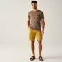 Pantalones cortos de hombre Regatta Shorebay Shorts II