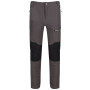 Pantalones de hombre Regatta Questra II gris Magnet/Black
