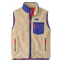 Chaleco de hombre Patagonia Classic Retro-X Vest