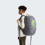 Mochila escolar para educación secundaria The North Face Y Court Jester