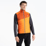 Chaleco de hombre Dare 2b Touring Gilet