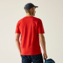 Camiseta de hombre Regatta Cline IX