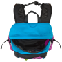 Mochila The North Face Hot Shot Se