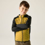Chaqueta para niños Regatta Junior Andreson Hybrid BlkWdBrown