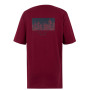 Camiseta de hombre Regatta Cline IX