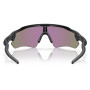 Gafas de sol OAKLEY Radar Ev Path Prizm Jade Polarized