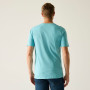 Camiseta de hombre Regatta Cline IX