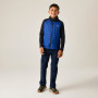 Chaqueta para niños Regatta Boys Trekktain 3-in-1 II Nvy/OlympBlu