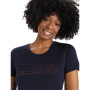 Camiseta de mujer Icebreaker Tech Lite II SS Tee Ski Stripes