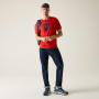 Camiseta de hombre Regatta Cline IX