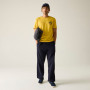 Camiseta de hombre Regatta Cline IX