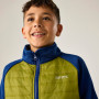 Chaqueta para niños Regatta Boys Trekktain 3-in-1 II AvBlu/GldCyp