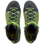 Calzado de hombre Salewa MS RAVEN 3 GTX