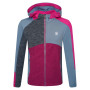 Sudadera para niños Dare 2b Hero Core Stretch rosa/violeta OrinGry/Fuch