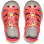 Sandalias para niños Keen Newport Boundless JR