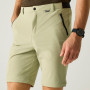 Pantalones de hombre Regatta Anti-Insect Travel Light Z/O Trousers