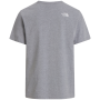 Camiseta de hombre The North Face Evolution Half Dome Regular Short Slee