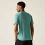 Camiseta de hombre Regatta Cline IX