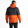 Chaqueta de hombre Dare 2b Ollie Jacket