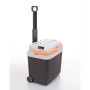 Nevera de coche G21 C&W 33 l