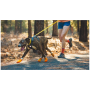 Zapatos para perro Ruffwear Summit Trex™ Shoes