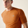 Camiseta de hombre Dare 2b Power Up Tee