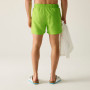 Bañador de hombre Regatta Mawson Swim Shorts III