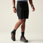 Pantalones cortos de hombre Dare 2b Tuned In Pro II Short