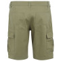 Pantalones cortos de hombre Regatta Ruwan Shorts