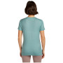 Camiseta de mujer Icebreaker Women Merino 150 Tech Lite SS Tee Terrain