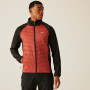 Chaqueta de hombre Regatta Sacramento X