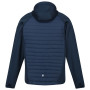 Chaqueta de hombre Regatta Andreson VII Hybrid