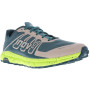 Zapatillas de carrera para hombre Inov-8 Trailfly G 270 V2 M beige/verde pine/lime