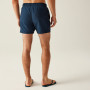 Bañador de hombre Regatta Mawson Swim Shorts III