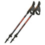 Bastones de caminata nórdica Fizan R-Evolution Pro