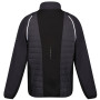 Chaqueta de hombre Regatta Steren II Hybrid