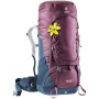 Mochila de mujer Deuter Aircontact 50+10 SL (2020) burdeos BlackberryNavy
