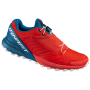 Calzado de hombre Dynafit Alpine Pro rojo/azul Dawn/MykonosBlue