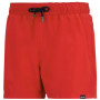 Bañador de hombre Regatta Mawson Swim Shorts III