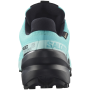 Calzado de mujer Salomon Speedcross 6 Gore-Tex