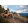 Arnés para perro Ruffwear Switchbak™ Harness