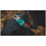 Collar para perro Ruffwear Front Range™ Collar