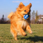 Juguete para perro Nerf Dog Small Tennis Balls 3 pcs