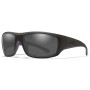Gafas Wiley X Omega