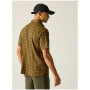 Camisa de hombre Regatta Begarno