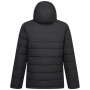 Chaqueta acolchada para hombre Regatta Frankie Padded