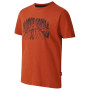 Camiseta para niños Dare 2b Trailbazer III Tee Arabian Spice