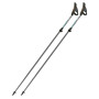 Bastones de caminata nórdica Fizan NW Carbon Pro Impulse