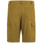 Pantalones cortos de hombre Regatta Ruwan Shorts
